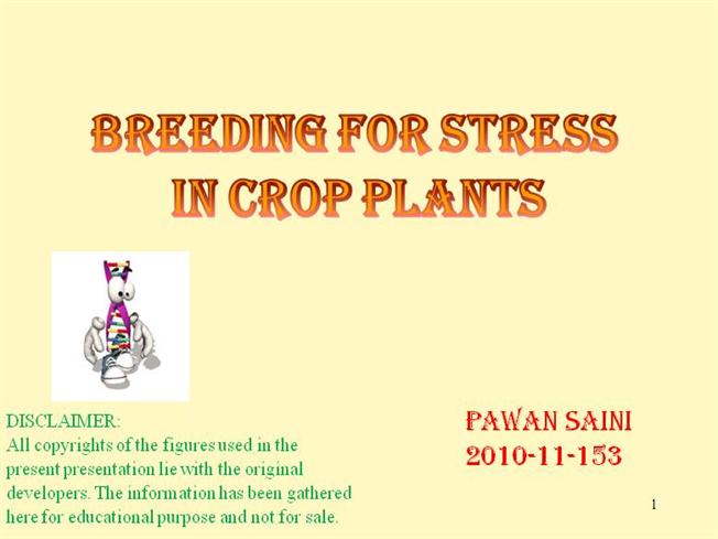 cross pollinated plant breeding pdf