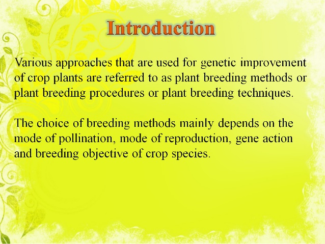 cross pollinated plant breeding pdf